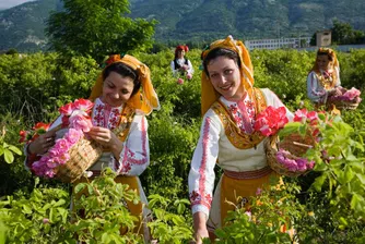 Стрелча се препълни за Празника на розата