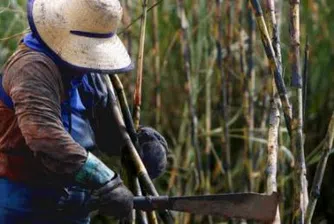 Почина изобретателят на биодизела