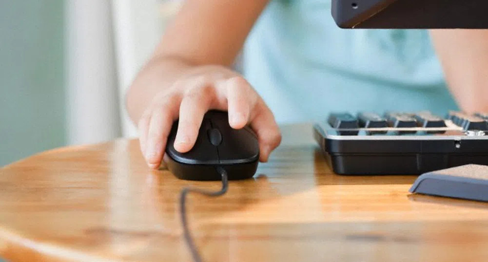 В Япония ще лекуват пристрастени към интернет деца в лагери