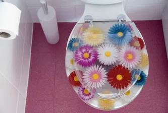 Пет любопитни факта за тоалетната по случай празника й