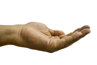 Най-щедрите звезди през 2016 г.