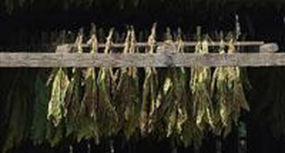 Акция на деня - Благоевград БТ