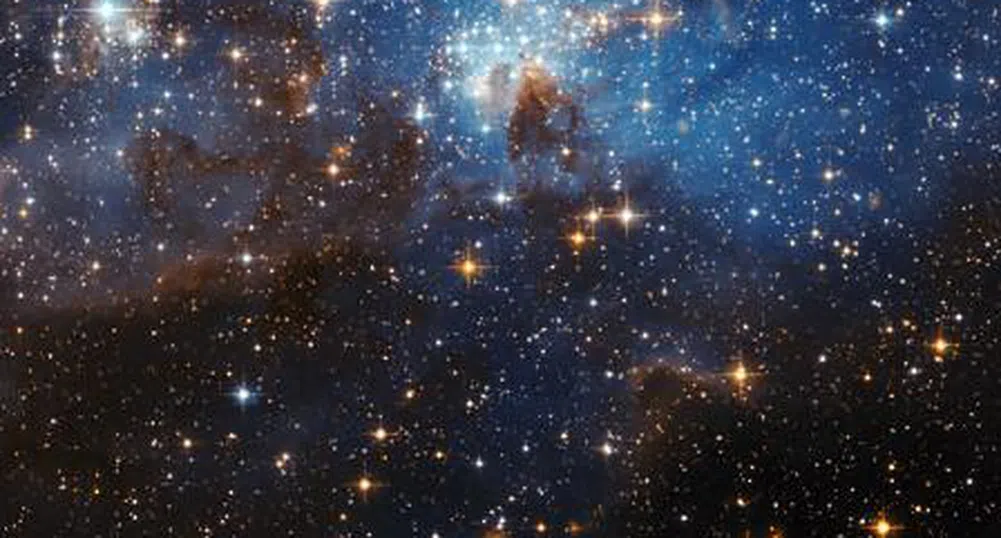 Фонд „Земеделие” одобри 15 проекта за над 3 млн. лв.