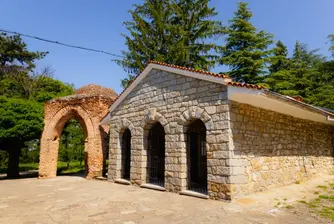 Държавата даде на община Казанлък Голямата косматка