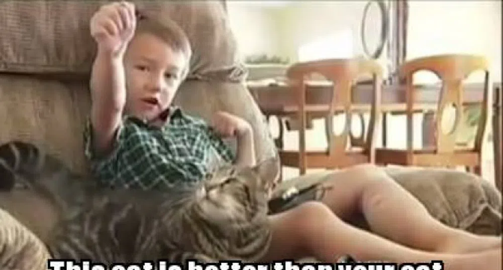 Котка-герой изкарва повече пари от цяло семейство