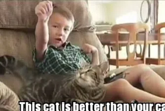 Котка-герой изкарва повече пари от цяло семейство