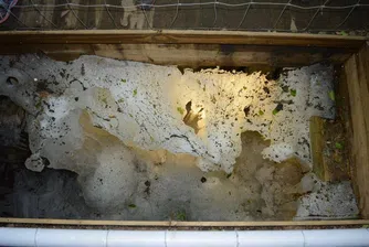 Природни феномени: пещерата, която образува лед само през лятото