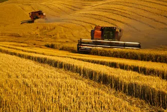 Кой е най-добре платеният работник у нас?