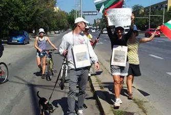Протестна мрежа