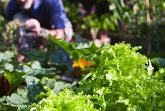 Финансовата криза пагубна за психичното здраве