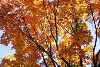 Циганско лято през септември