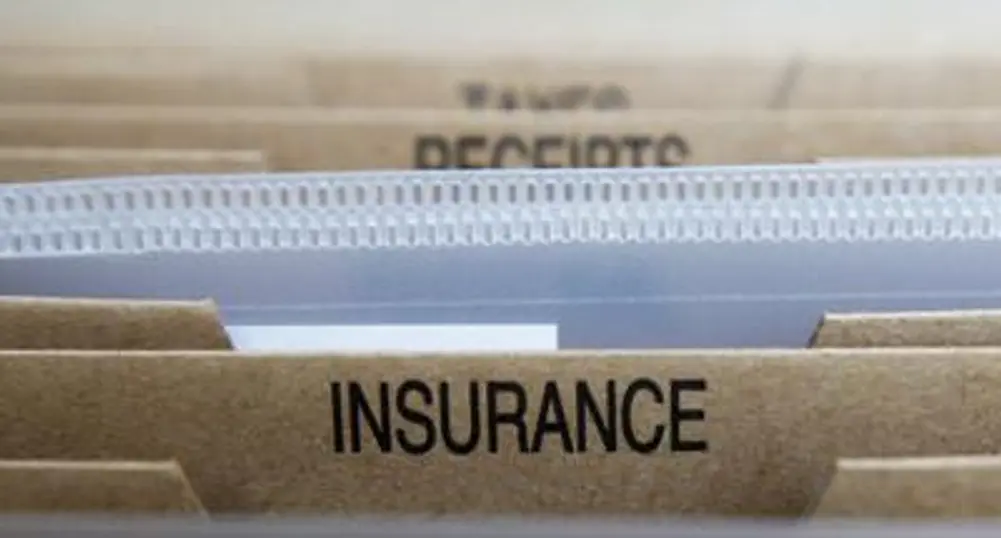 Insurers, Reinsurers' Assets at 3.85 Bln Leva
