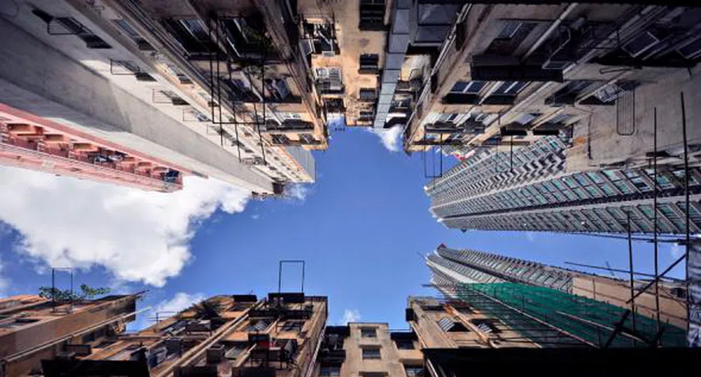 Архитектурата през погледа на насекомо