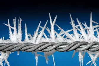 Издирват атентатора от Рейна до границата с България