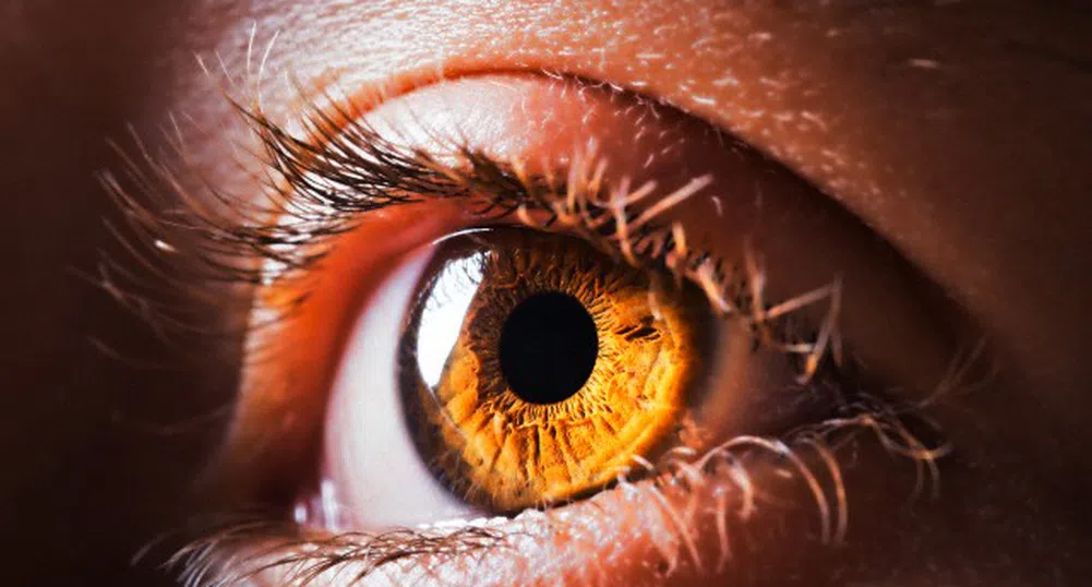 10 удивителни факта за човешките очи