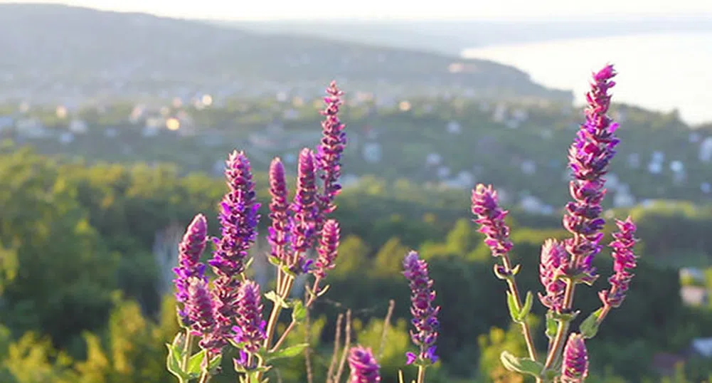 Странните имена на кюстендилските села