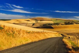 Цената на земята в Добричко достигна 1200 лв./дка