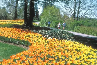 Пролет с 23° от понеделник