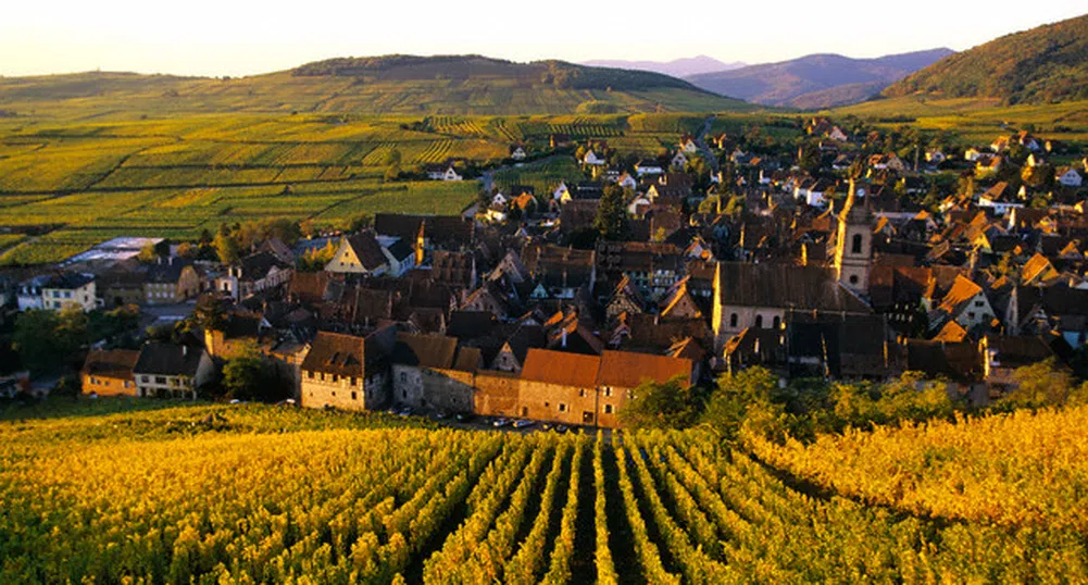 Пазарът на земя замря в очакване на промените