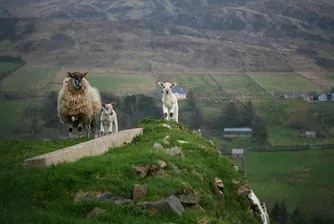 17-те най-яки дестинации за 2017 г.