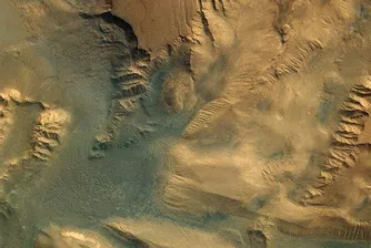 Откриха дървета на Марс