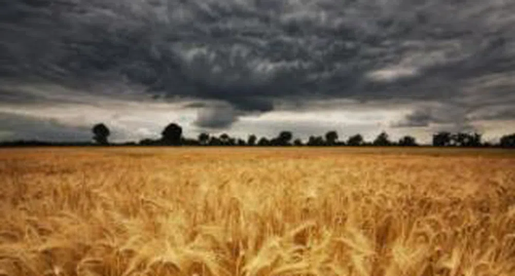 Защо ценитe на храните ще продължават да растат?