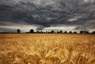 Защо ценитe на храните ще продължават да растат?