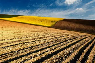 До 100 000 лв. глоба за чужденци с български ниви