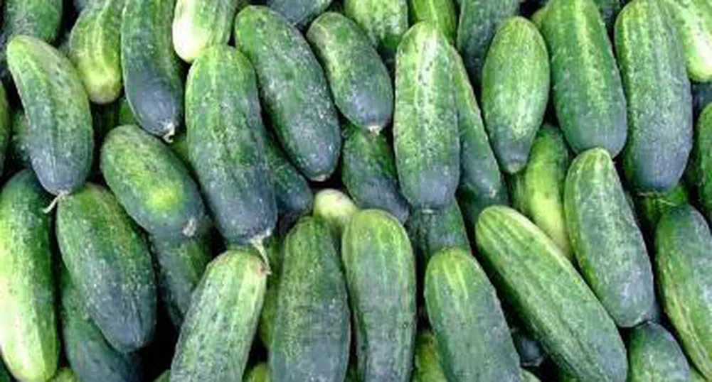 Продадоха къщата на Ерих Хонекер