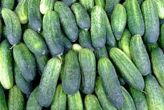 Продадоха къщата на Ерих Хонекер