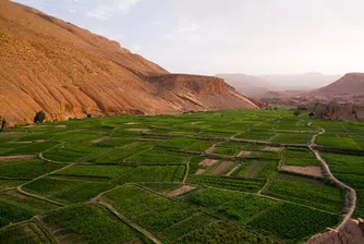 Първи сме по ръст на земеделската земя в ЕС