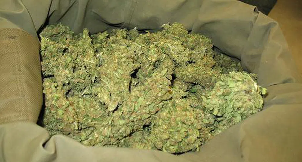 Глоба от 10 млн. евро за холандско кафене заради канабис