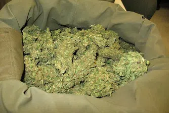 Глоба от 10 млн. евро за холандско кафене заради канабис