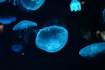 Китай твърди, че е открил най-голямата дупка на планетата