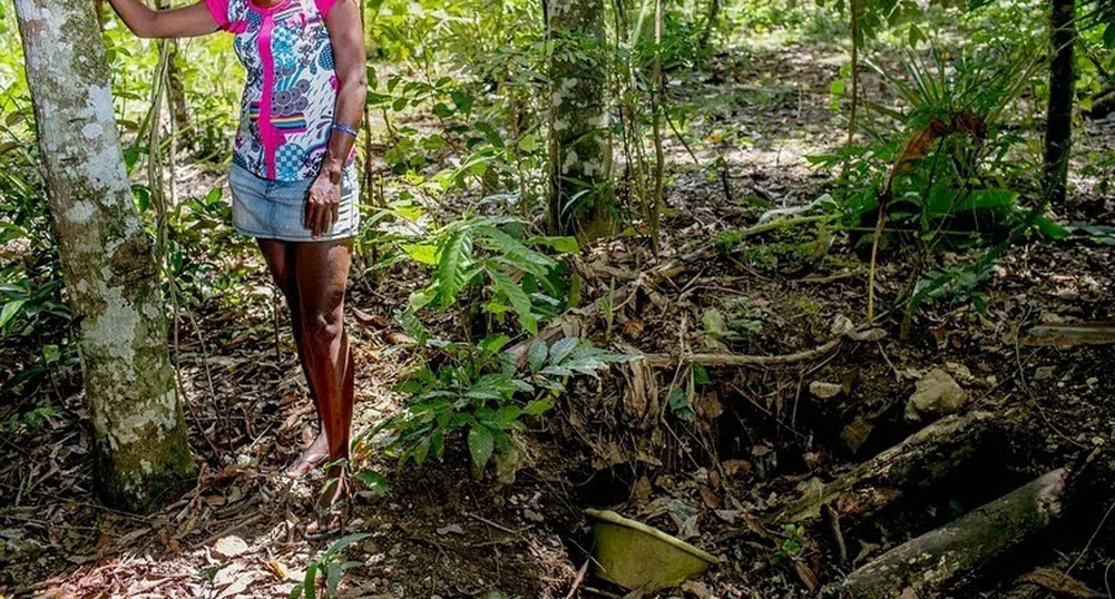 Как изглеждат тоалетните по света?