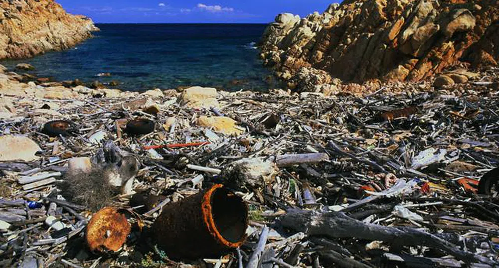 "Боклучен остров" в северния Пасифик