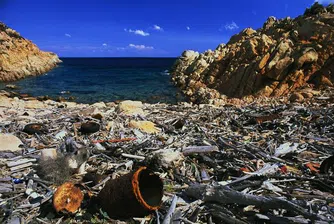 "Боклучен остров" в северния Пасифик