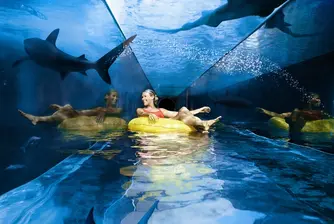 Приказният курортен комплекс Атлантис Палм в ОАЕ