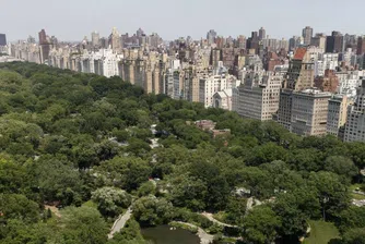 Версайски дворец в небето на Ню Йорк за 50 млн. долара