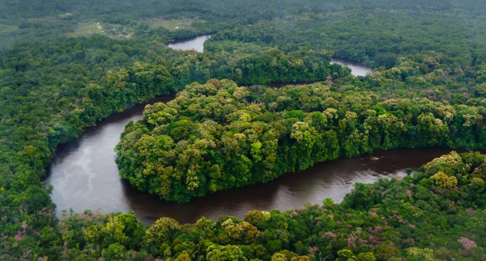 Как се облича принц Чарлз за посещение в джунглата?