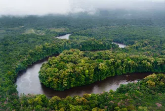 Как се облича принц Чарлз за посещение в джунглата?