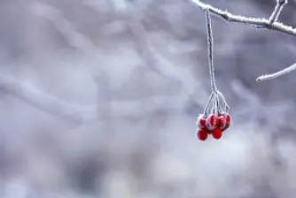 Слънчево време днес, от понеделник температурите падат