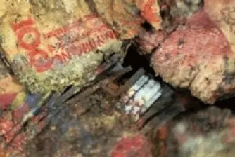 Спестяванията на китайка мухлясаха под пода в кухнята