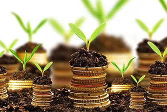 Инвестиционните фондове у нас с рекордни активи