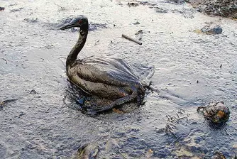 Делото за разлива в Мексиканския залив започва догодина