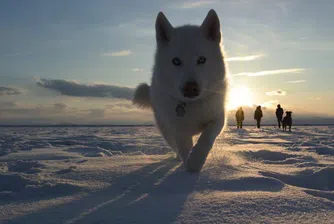 Замръзвате? Този малък и лесен трик ще ви стопли