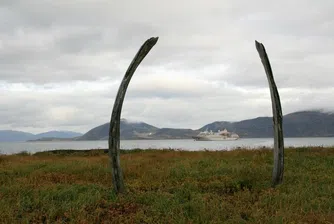 На този сибирски остров огромни ями крият тонове месо
