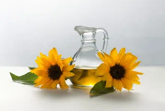 Изнасяме олио за 100 млн. долара към Ирак