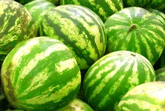Зеленият пипер поевтиня с 38% през юли, дините с 50%