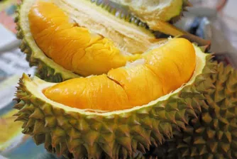 Най-ужасните миризми в света